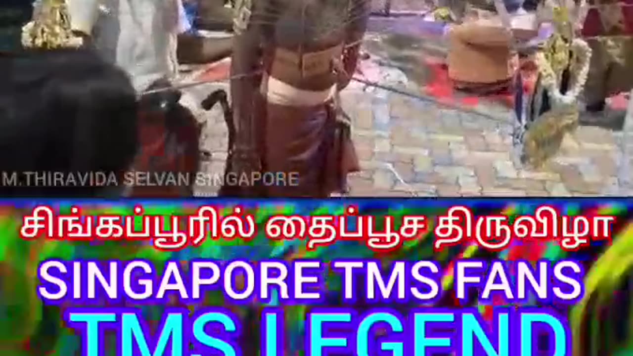 சிங்கப்பூரில் தைப்பூச திருவிழா TMS LEGEND M.THIRAVIDA SELVAN SINGAPORE TMS FANS 11.02.2025