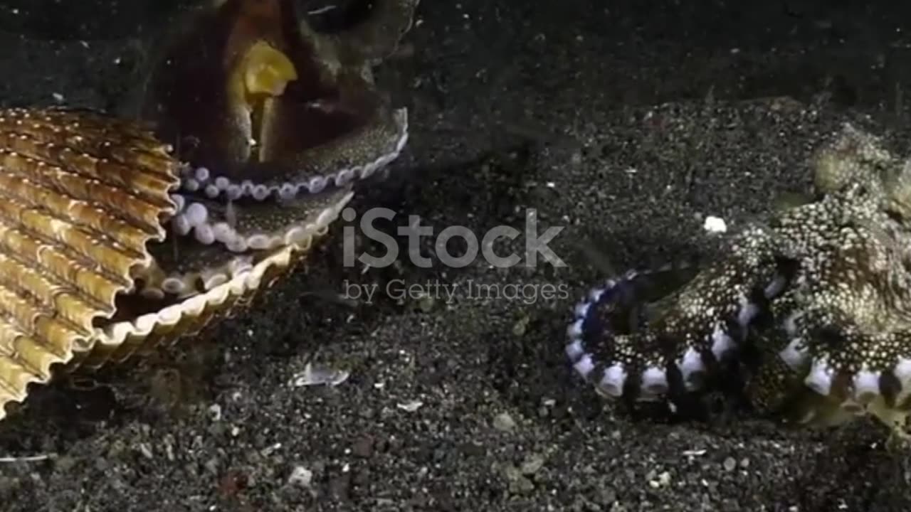 رَمَضَان میں توانائی اور ہائیڈریشن کیسے برقرار رکھیں؟