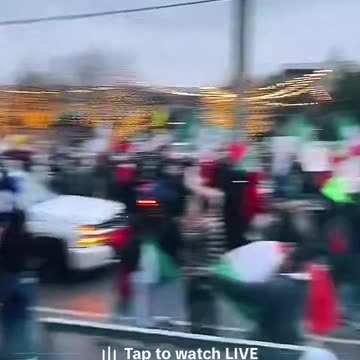 Dallas, Texas, yesterday, invaders harass cars