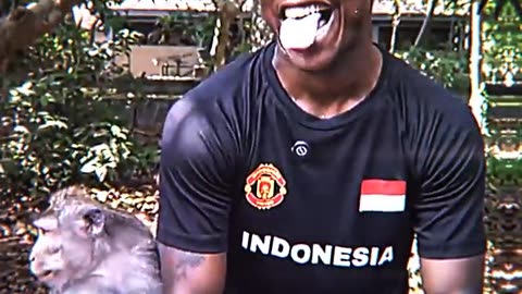 ISHOWSPEED SHOWS MONKEY HIS SPEED🤣