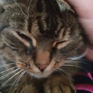 Ziuta love me 💙🤍♥️🙀😸😻