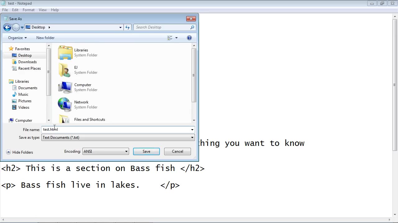 HTML Tutorial for beginners 01