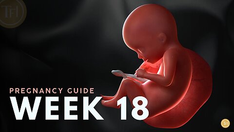 What to Expect at Week 18 | Week by Week Pregnancy Guide
