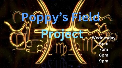 Poppy's Field Project 2/19/25