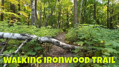 Walking on Ironwood Trail