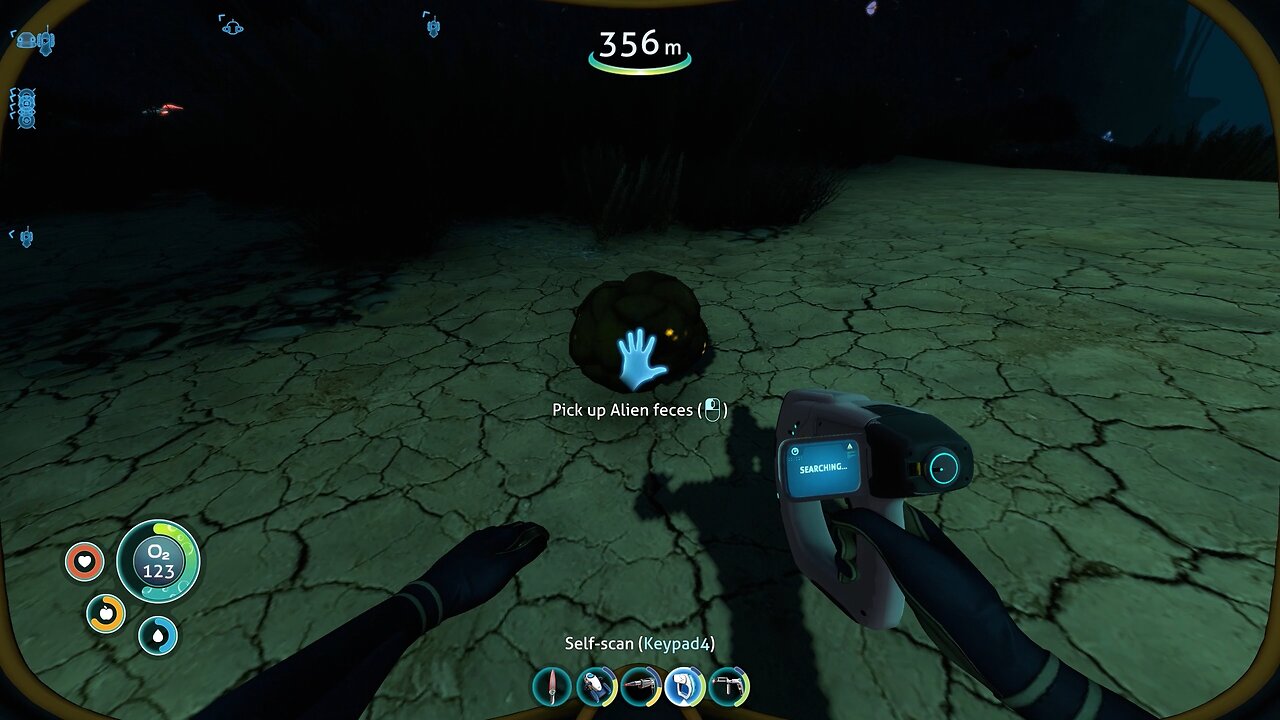 Why am I picking up alien poo? (Subnautica)