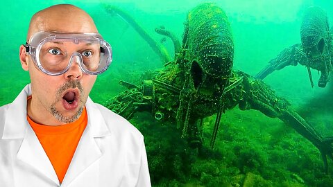 Dropped a Go Pro in the ocean