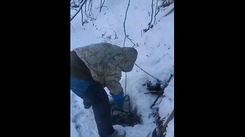 Backwoods beavers #20-#21-#22 out of the same hole,and Man Down! .. #trapping, #beaver #