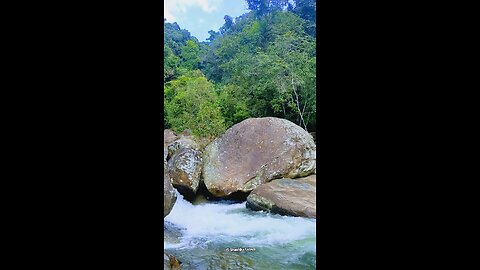 Serene River Views | Relaxing Nature Sounds & Scenic Beauty 🌊🍃🤩