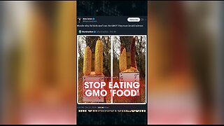 If Birds Don't Eat GMO, Why Would You - Alex Jones on X