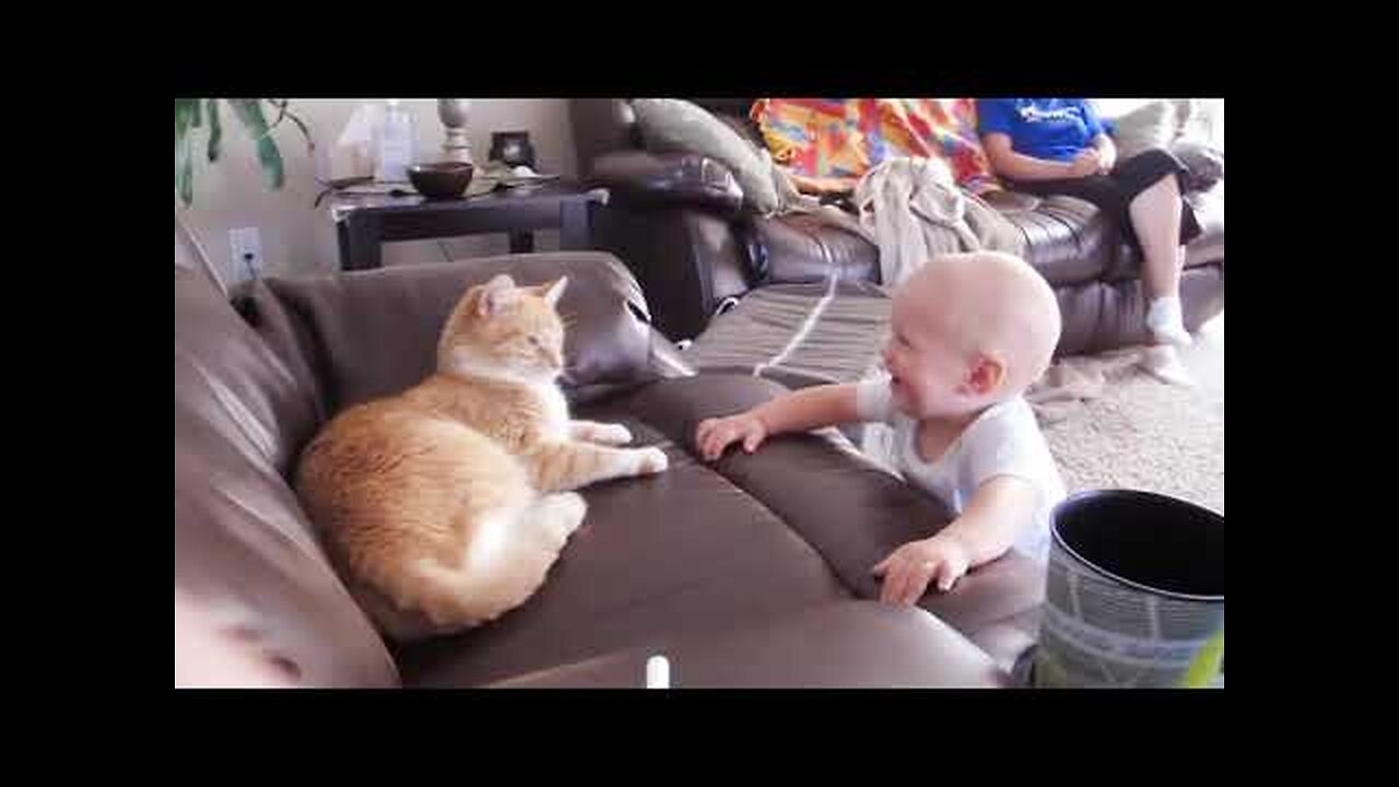 Baby And Cat Fun And Cute #5 - Funny Baby Videos