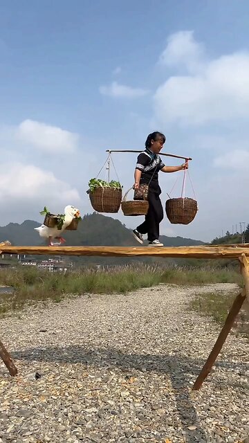 The name of life is struggle, that's why everyone should work hard like this article is doing.