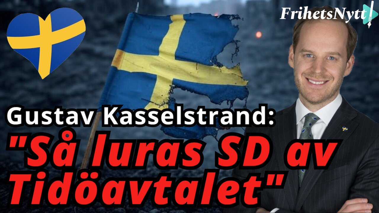 "SD kan inte skylla på någon annan för detta misslyckande" - Gustav Kasselstrand AfS