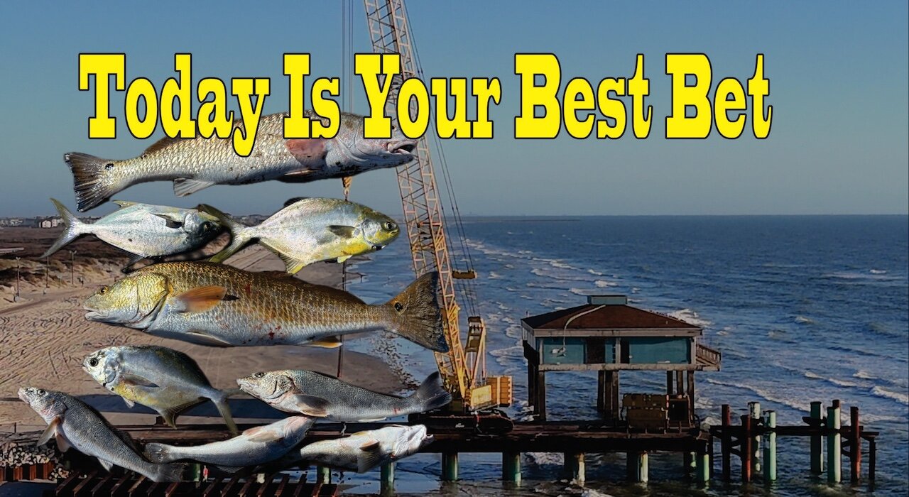 Your Best Damn Surf Fishing Report 12-30-24