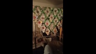 Daily WIP report for Spring Diamond Quilt