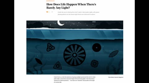 How Does Life Happen When There’s Barely Any Light?