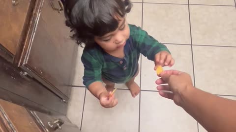 Kiddo Shares Cheese with Cat