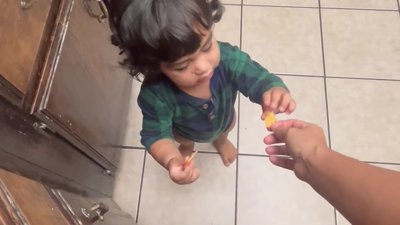 Kiddo Shares Cheese with Cat