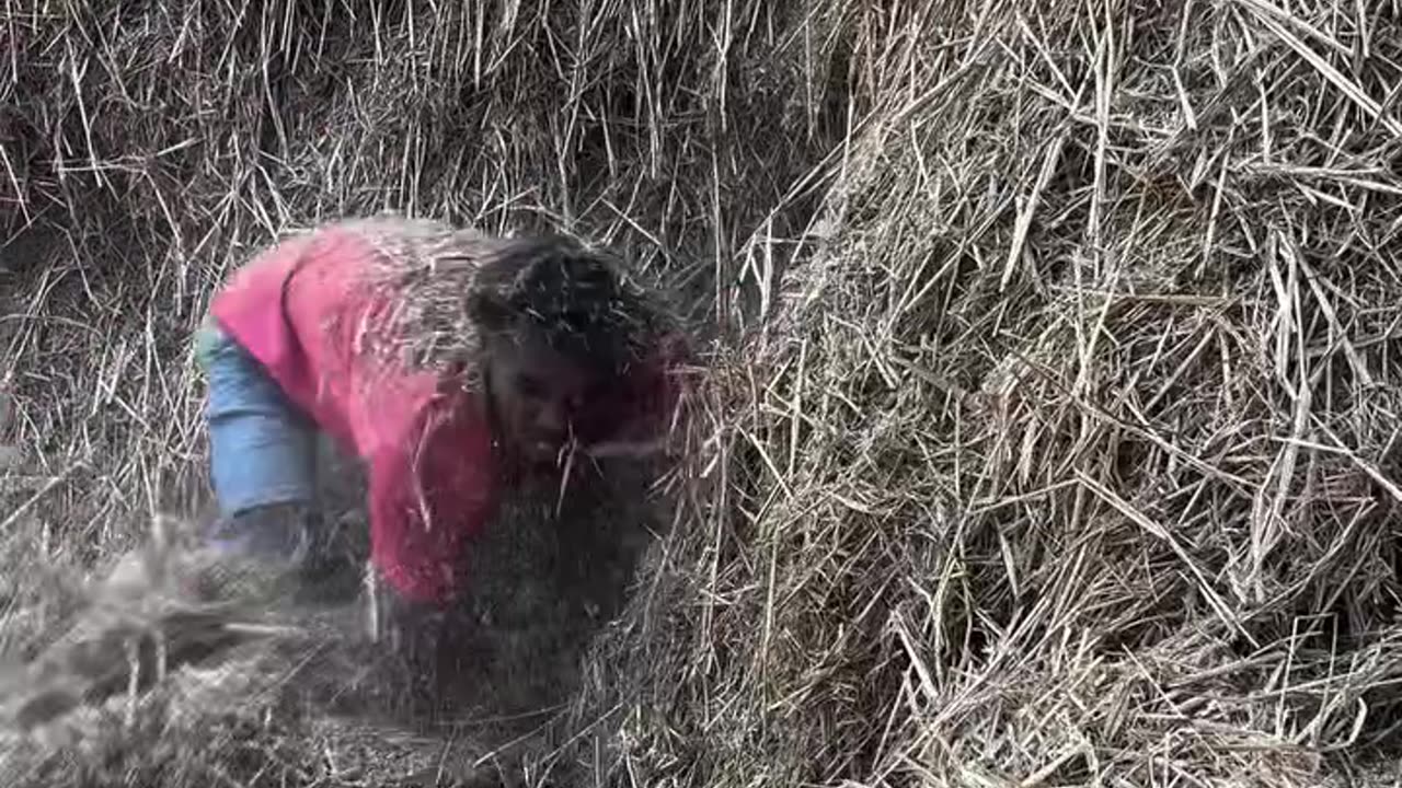 Top 🔝 Funny Video 📸