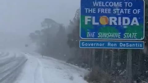 Benvenuti in Florida, lo Stato del Sole.