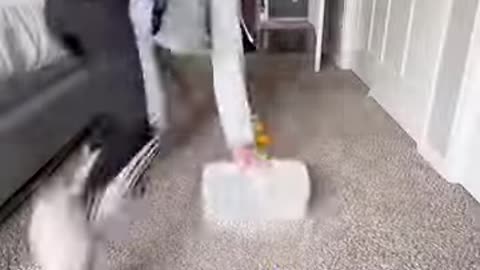 If Cleaning Was a Timed Sport. Part 2