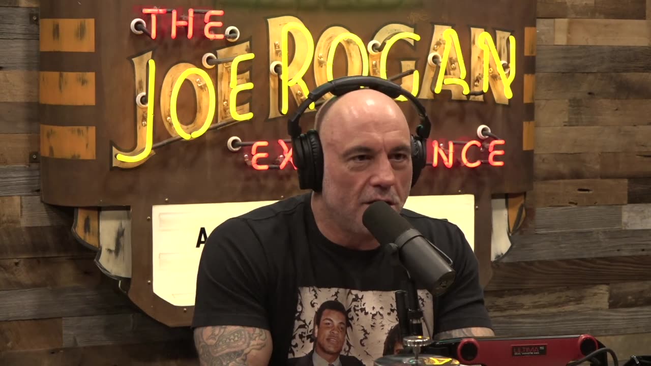 Joe Rogan Experience #2270 - Bridget Phetasy