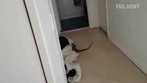 funnest video