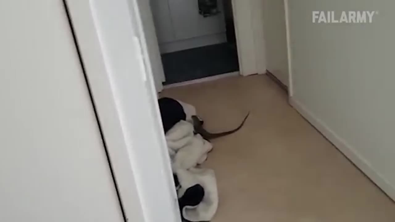 funnest video