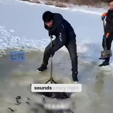 Winter's Wildest Fishing Tricks! Frozen River Net-Casting Secrets Revealed