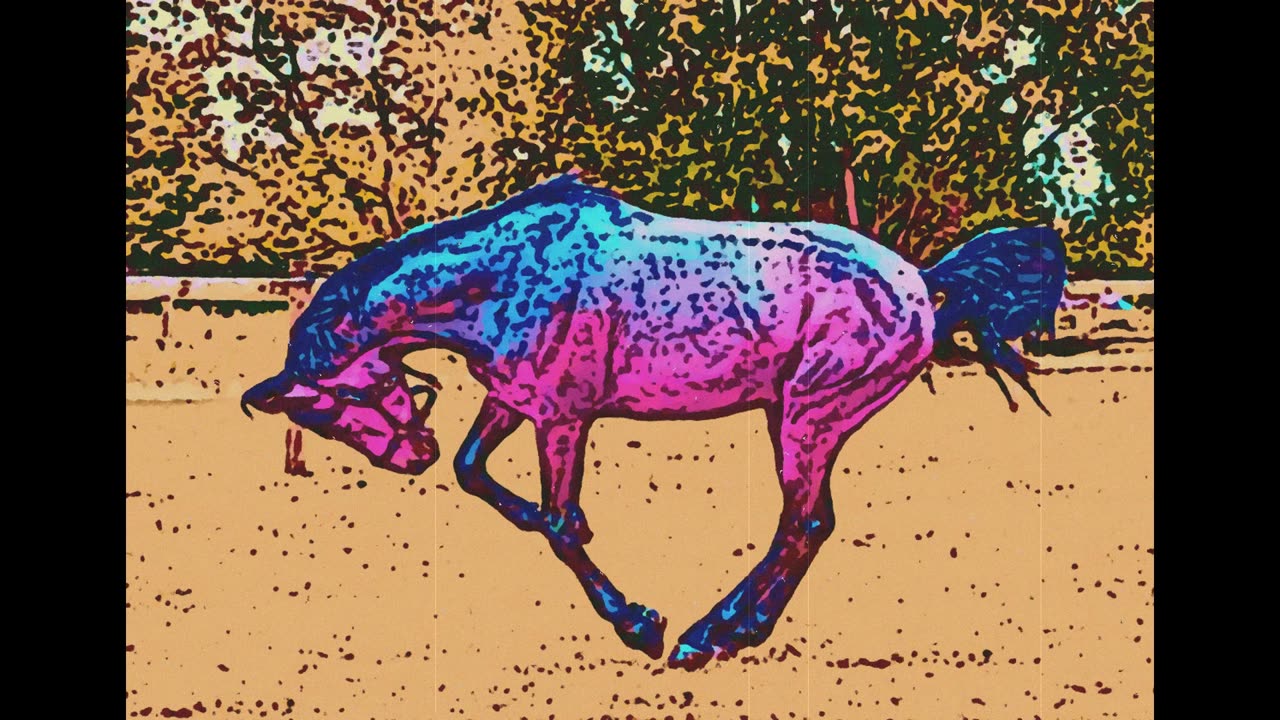 Horse Cock Hypnosis Part 2 Subliminal