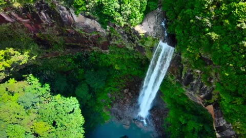 The Natural Wonders of Iriomote, Japan