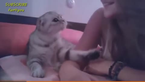 Pure Cat & Kitten Joy: Unstoppable Cuteness and Hilarious Moments!