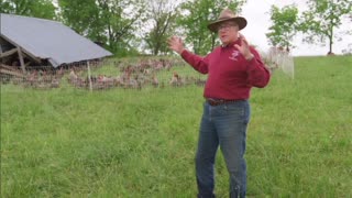 Farmer Joel Salatin on bird flu immunity: "The thing that gets me about avian influenza"