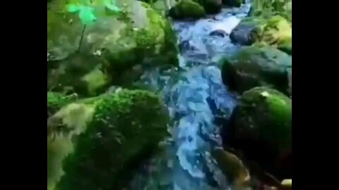 Beautiful stream in green nature😍😍