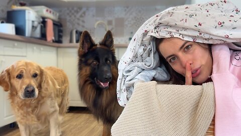 Hiding From My Dog Under A GIANT Pile Of Clothes!