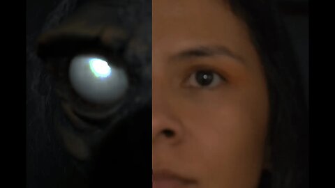 CO Omitir navegación Buscar Crear Imagen de avatar WHO PRESENCIA SINIESTRA