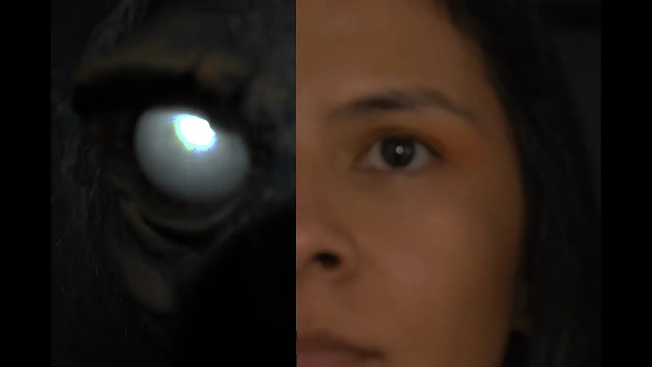 CO Omitir navegación Buscar Crear Imagen de avatar WHO PRESENCIA SINIESTRA