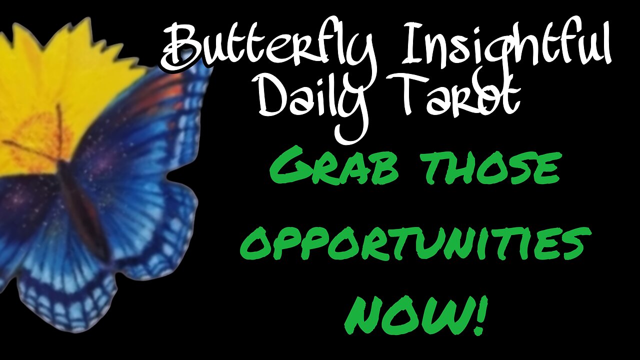 Butterfly Insightful Daily Tarot - Opportunities are coming! Get your head out of the sand!