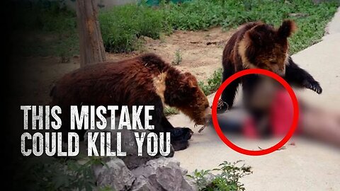 The Worst Things To Do in a Bear Attack: Common Mistakes That Could Cost You Your Life