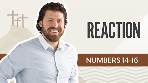 Bible Discovery, Numbers 14 – 1 6 | Reaction - February 17, 2025