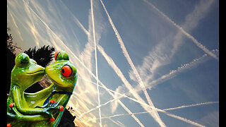 Dave, MW, And Chat Watch Dane Wigington's Shasta BOS Chemtrails Presentation