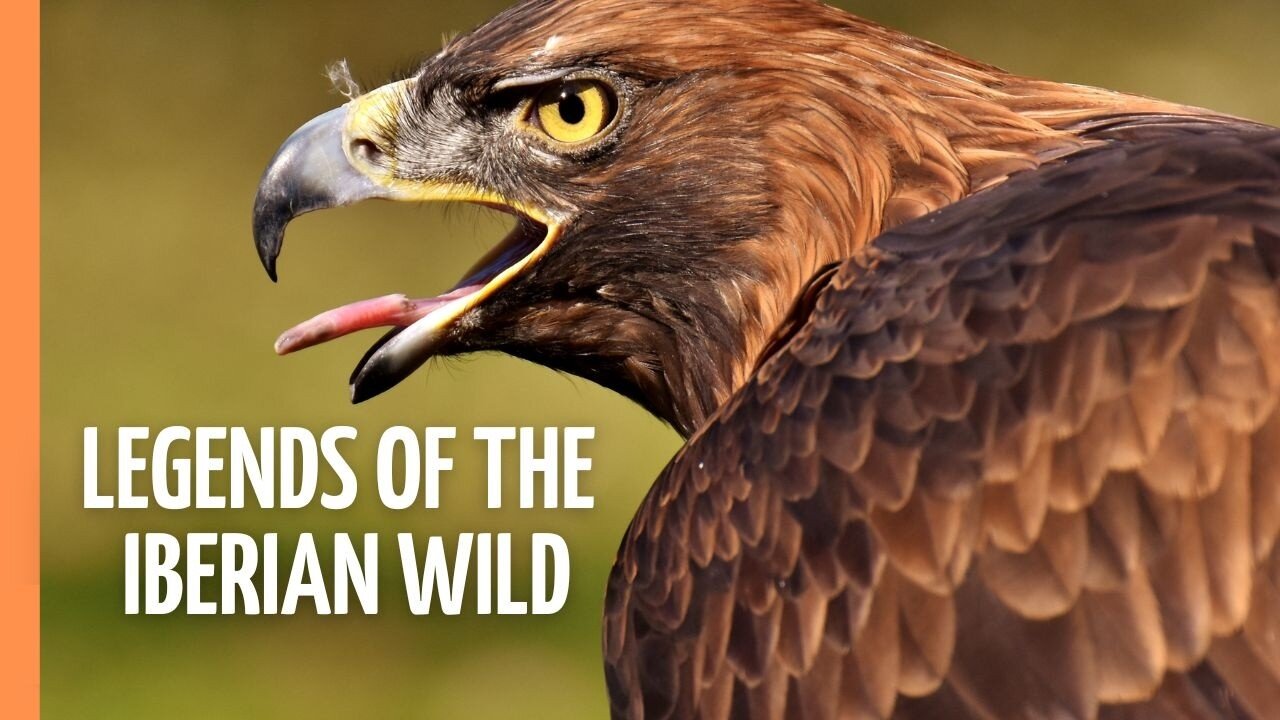Icons of the Iberian Wilderness_ Nature Meets Myth _ Full Episode