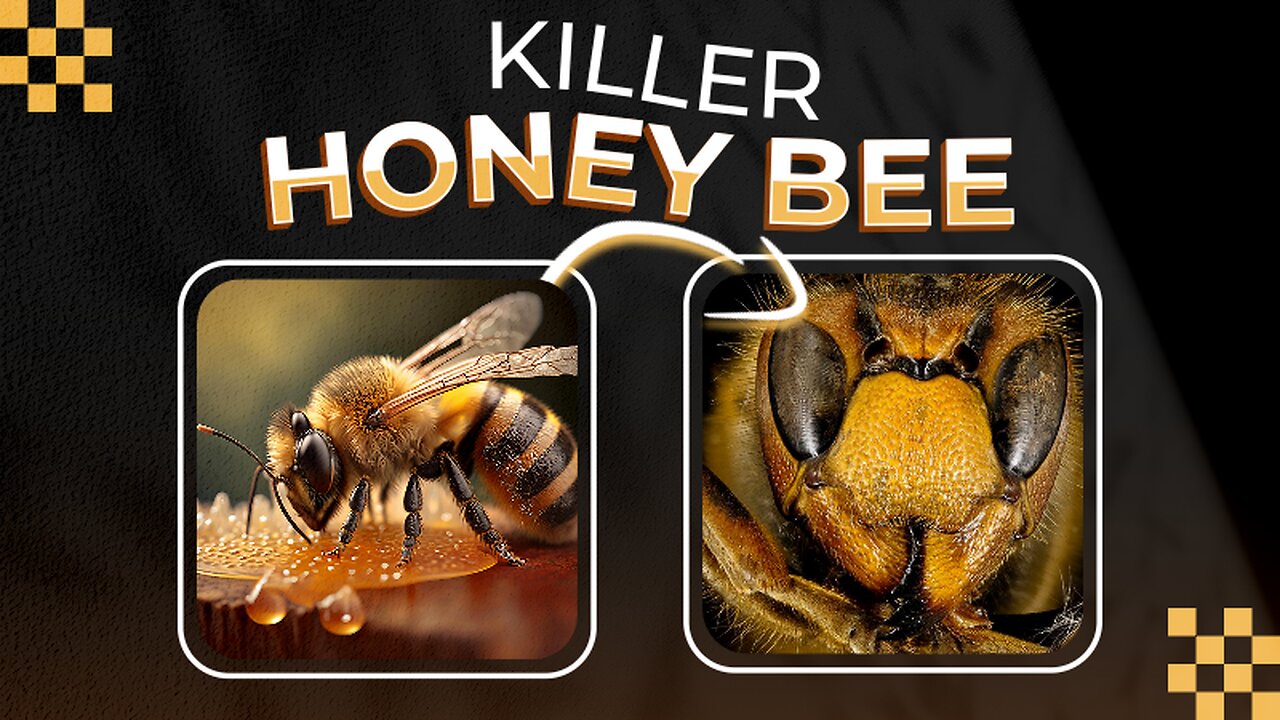 Bee's and Their Evil Side