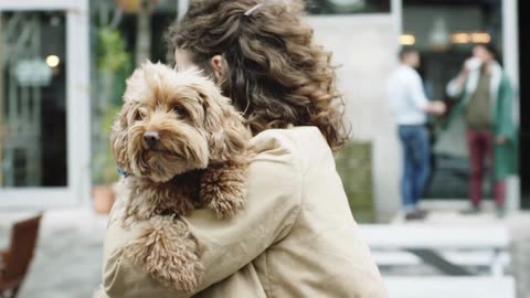 How Dogs Bring Joy: Discover the Happiness They Share