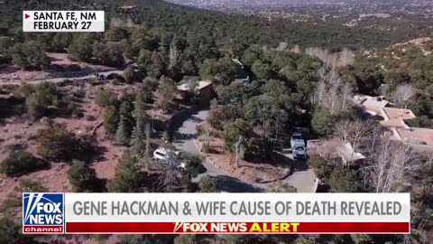 Actor Gene Hackman’s wife, Betsy Arakawa, died seven days before he did from Hantavirus.