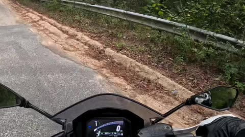 Epic Ride Turns Gross: You Won’t Believe What I Found on the Road! 🤢🏍️