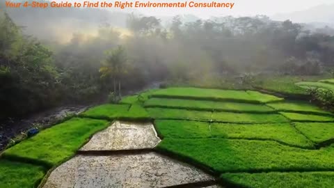 Your 4-Step Guide to Find the Right Environmental Consultancy