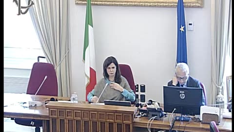 Roma - Comitato permanente Diritti umani - Indagine conoscitiva promozione ... (27.02.25)