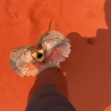 Handing out free hugs 🤣