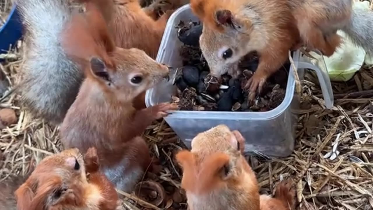 Snack time